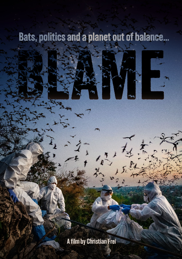 BLAME POSTER ENGL.